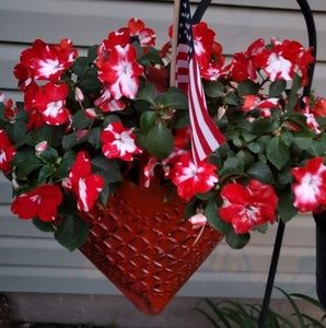 Meet your Posher, Carolyn